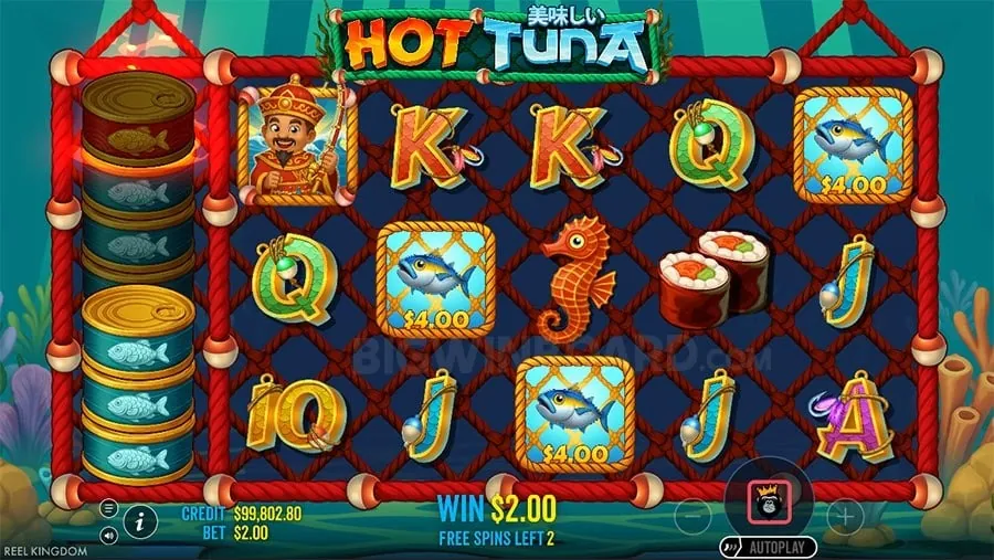 8k8 login Comparing Online vs Land Casinos