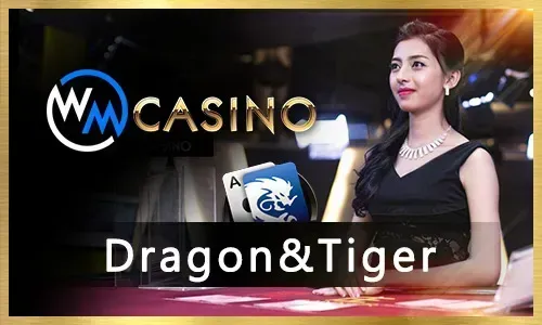 TP Gaming at 8k8.com